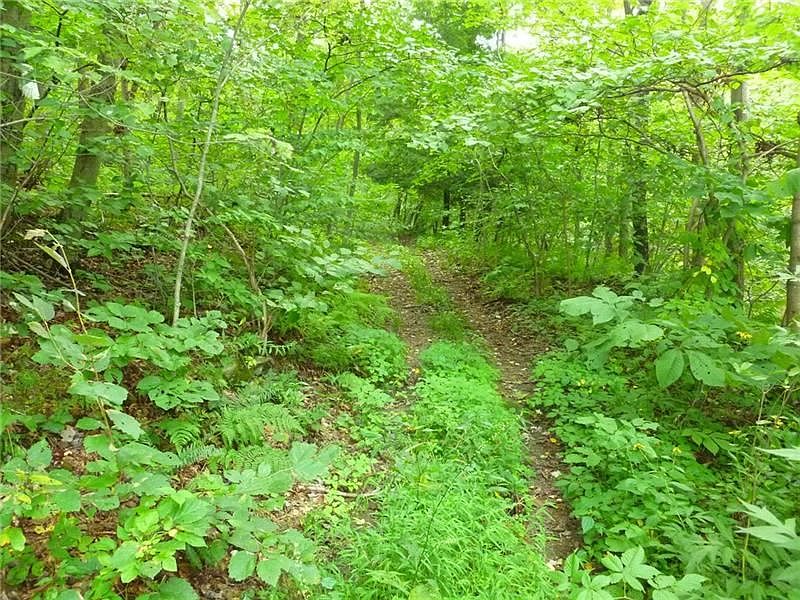 2nd image of 0 Neville Rd