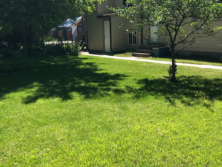 234 Edith St #3 — Photo 7