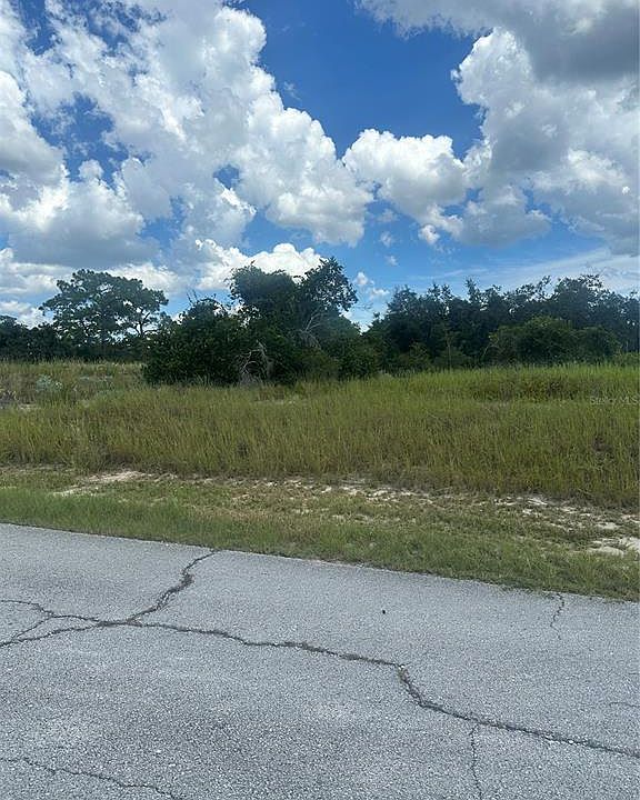 2nd image of 1348 HOMOSASSA COURT LOT 1