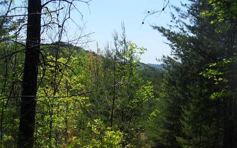1st image of Kimsey Mountain Hwy