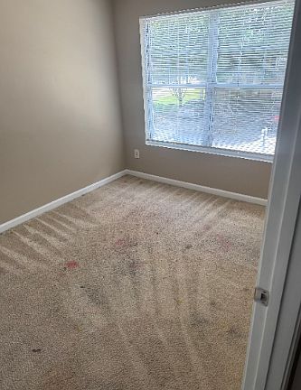 The carpet in the smaller rooms have been damaged. We will renovate the flooring next year, and will provide quarterly carpet cleaning until then.