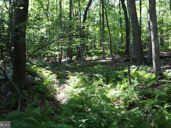 LOT 312 Ridge Run Rd, Claysburg, PA 16625