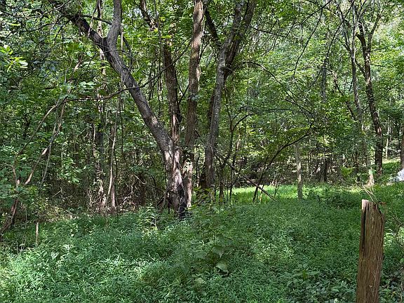 3rd image of 5470 Frankfort Rd