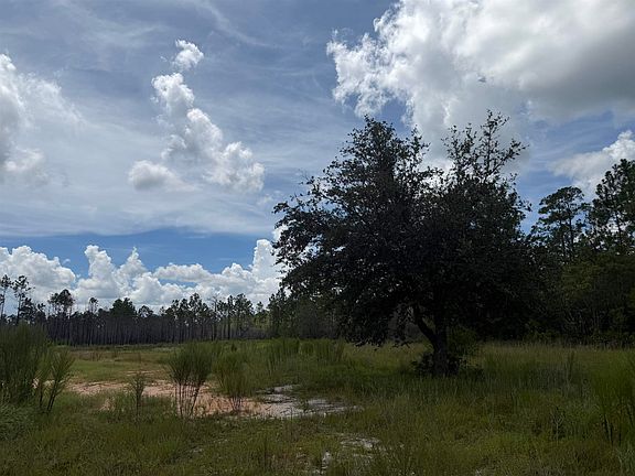 3rd image of 120&136&25ACR E Longleaf Dr