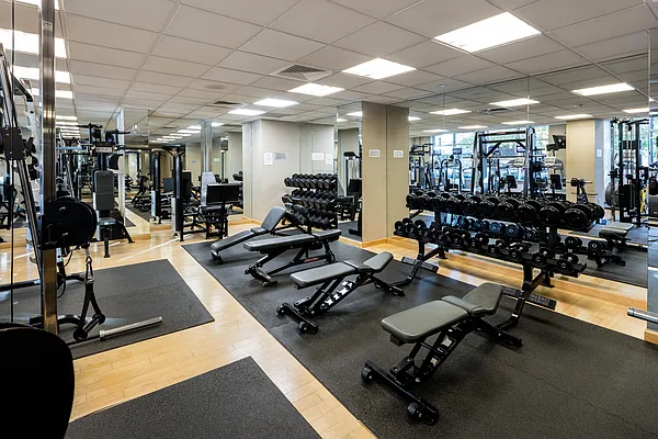 Rented by The Albanese Organization | media 4