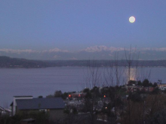 Night West View