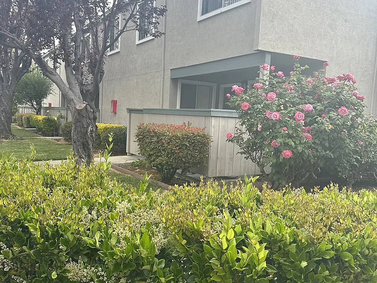 Windsor Garden Apartments — Photo 20