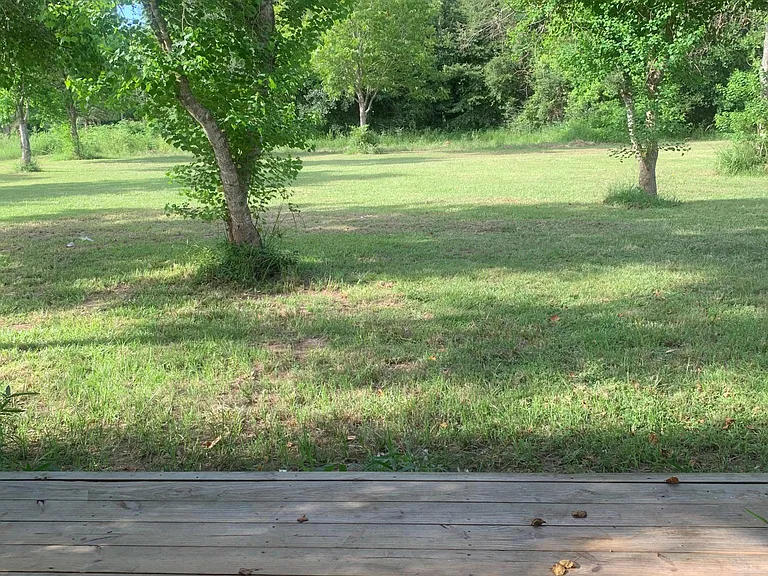 Back porch view