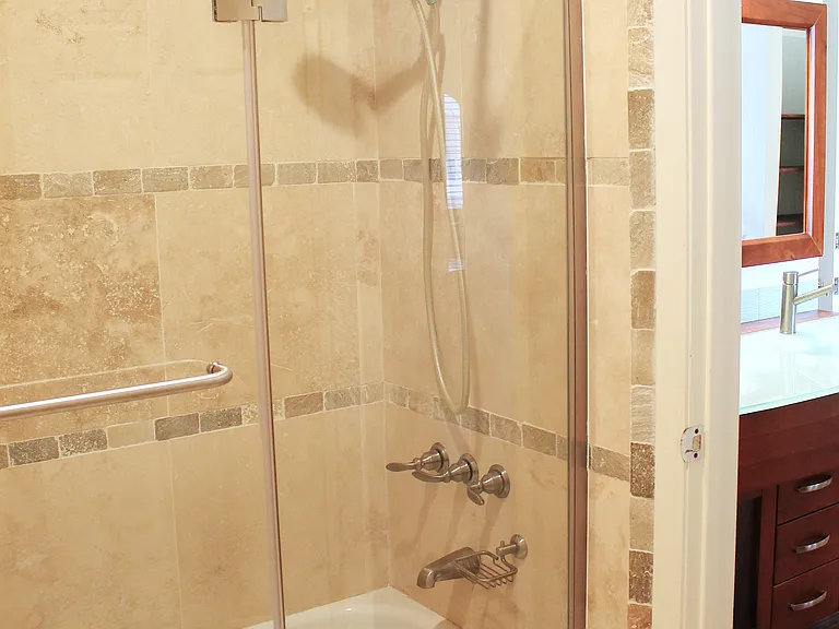 Master bath shower and tub