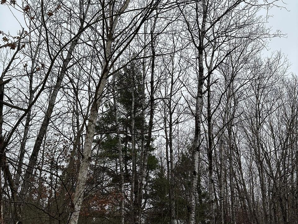 2nd image of Prairie Lake Rd #4069-6