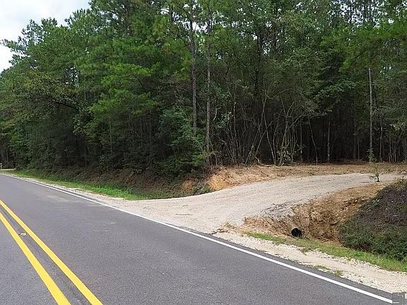 4th image of TRACT Isabel Swamp Rd #C