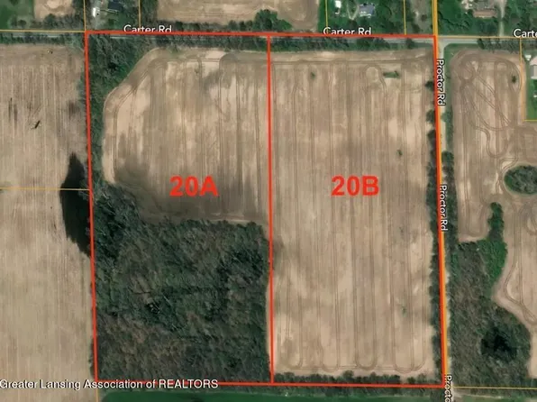 Carter Rd, Dansville, MI 48819