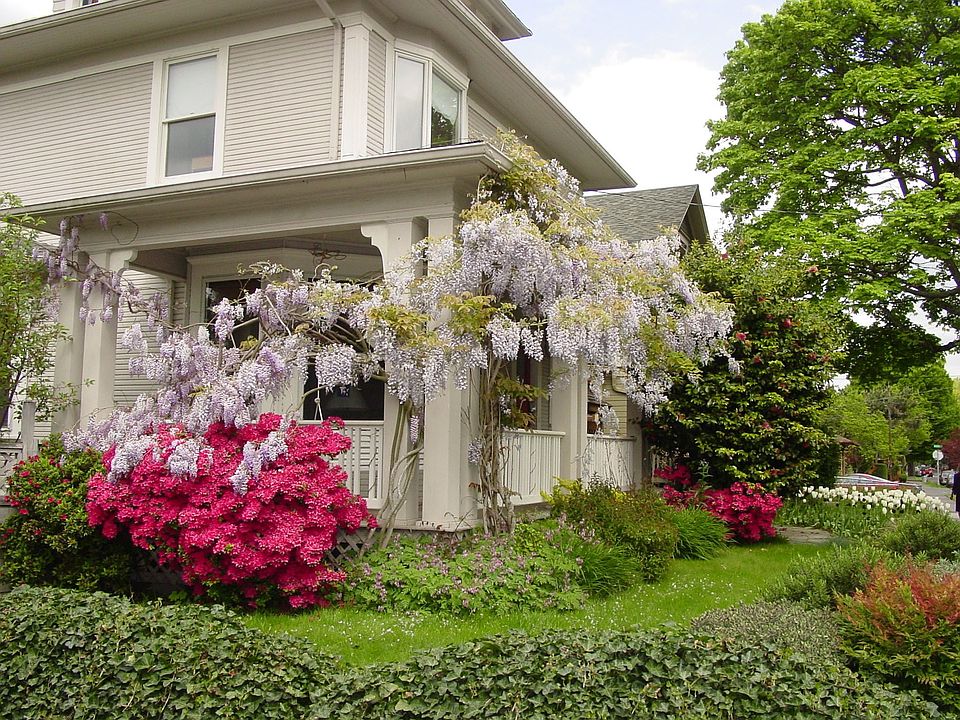 Front yard