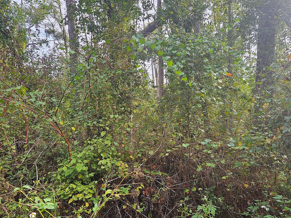 1st image of 0 181st Rd