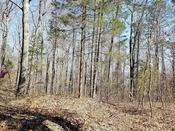 1 Cardessa Ln, Grant, AL 35747