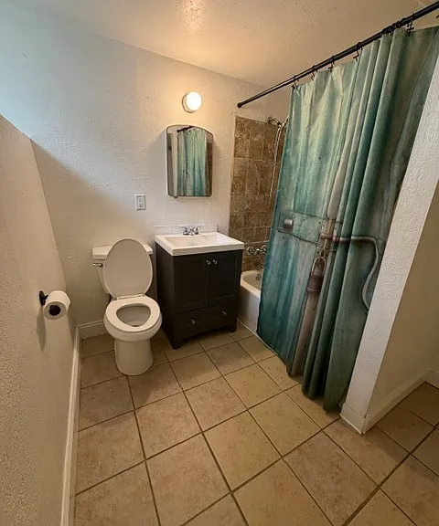 Full Bath- (sorry the seat is up!) Spacious, room for storage furniture or shelving, has raised ledges for storage or decorations