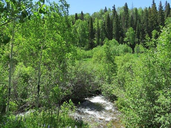 2nd image of 6889 Capitol Creek Rd