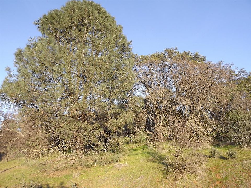 1st image of 10360 Gusanillo Way