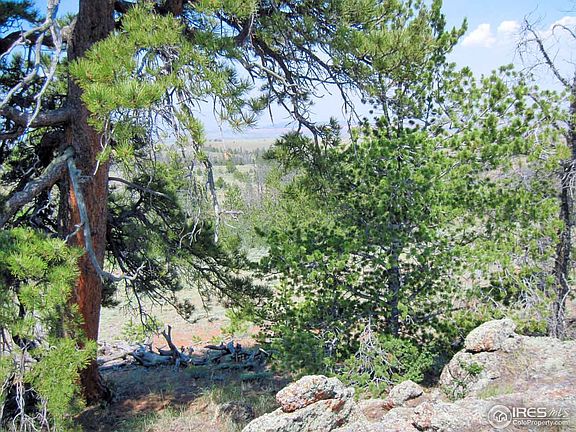 2nd image of Sand Creek Park