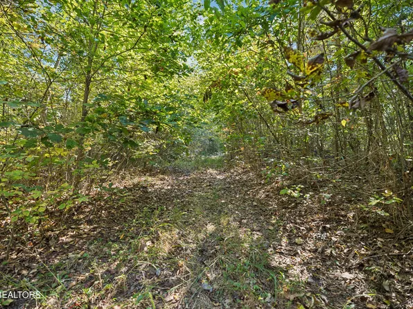 432 N Farnum St, Friendsville, TN 37737