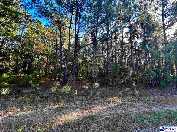 Saint Hwy #727, Pamplico, SC 29583