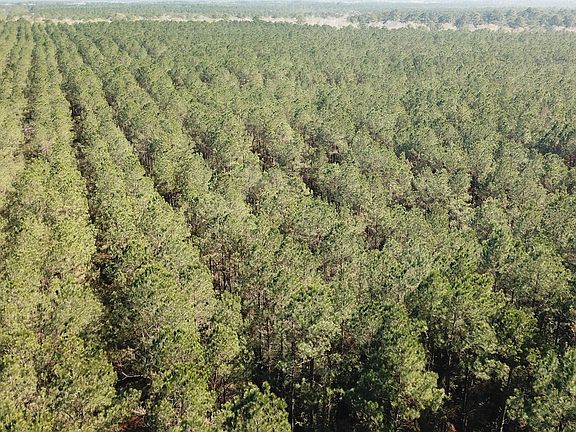 3rd image of 0 Corrigan Rd