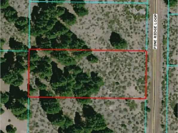 Pine Ridge Loop #1, Chiloquin, OR 97624
