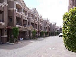 European Flair - cobblestone private street