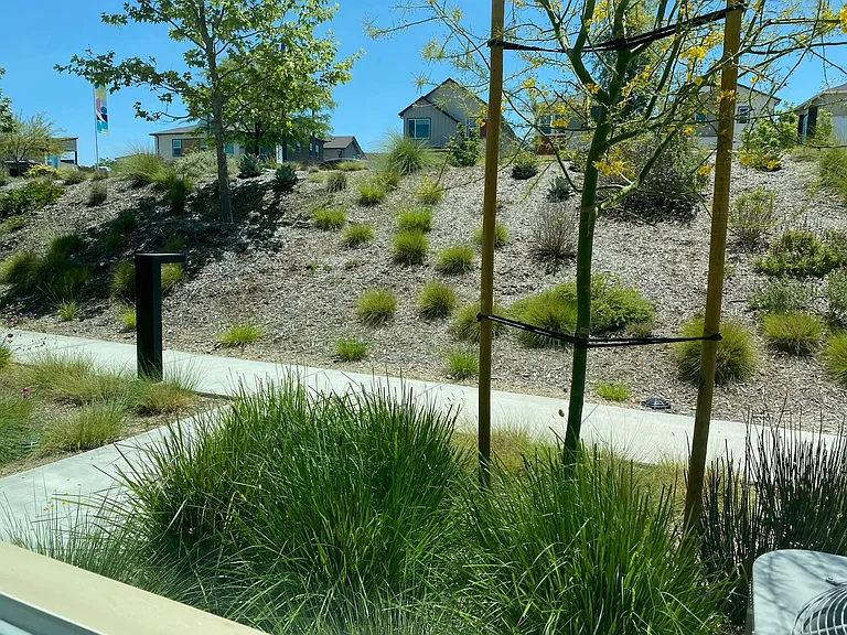 27038 Tanager Ln — Photo 6
