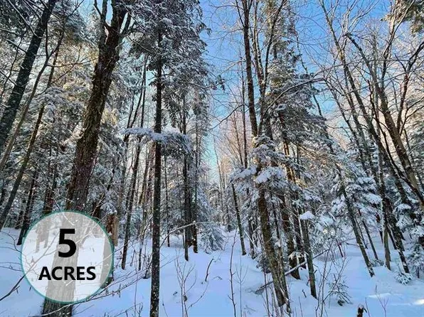 00 Mountain Road, Burke, VT 05832