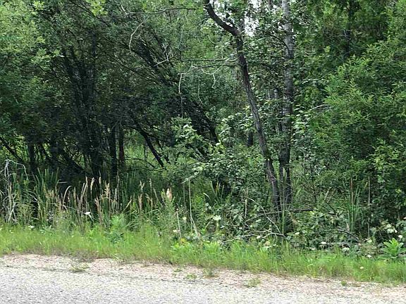 5th image of Park St N