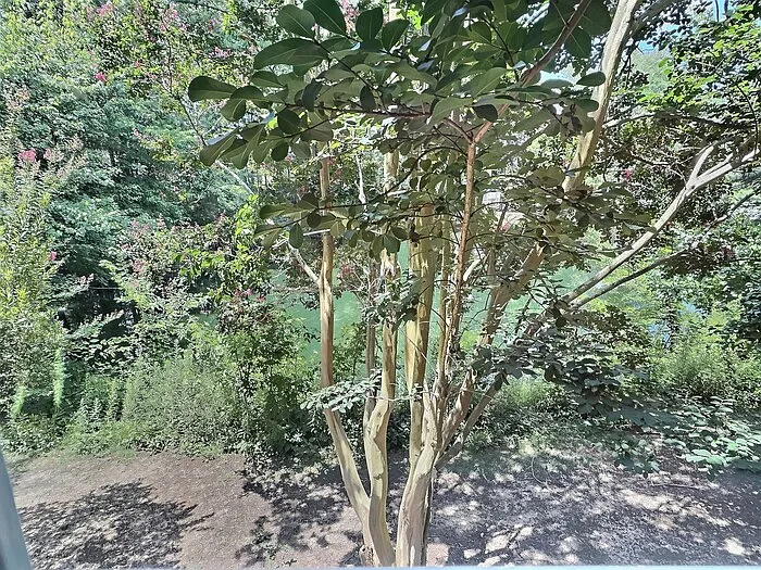 109 Weatherhill Point — Photo 13