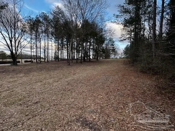 5580 John Lowery Rd, Jay, FL 32565