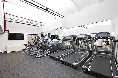 Rented by Bold New York