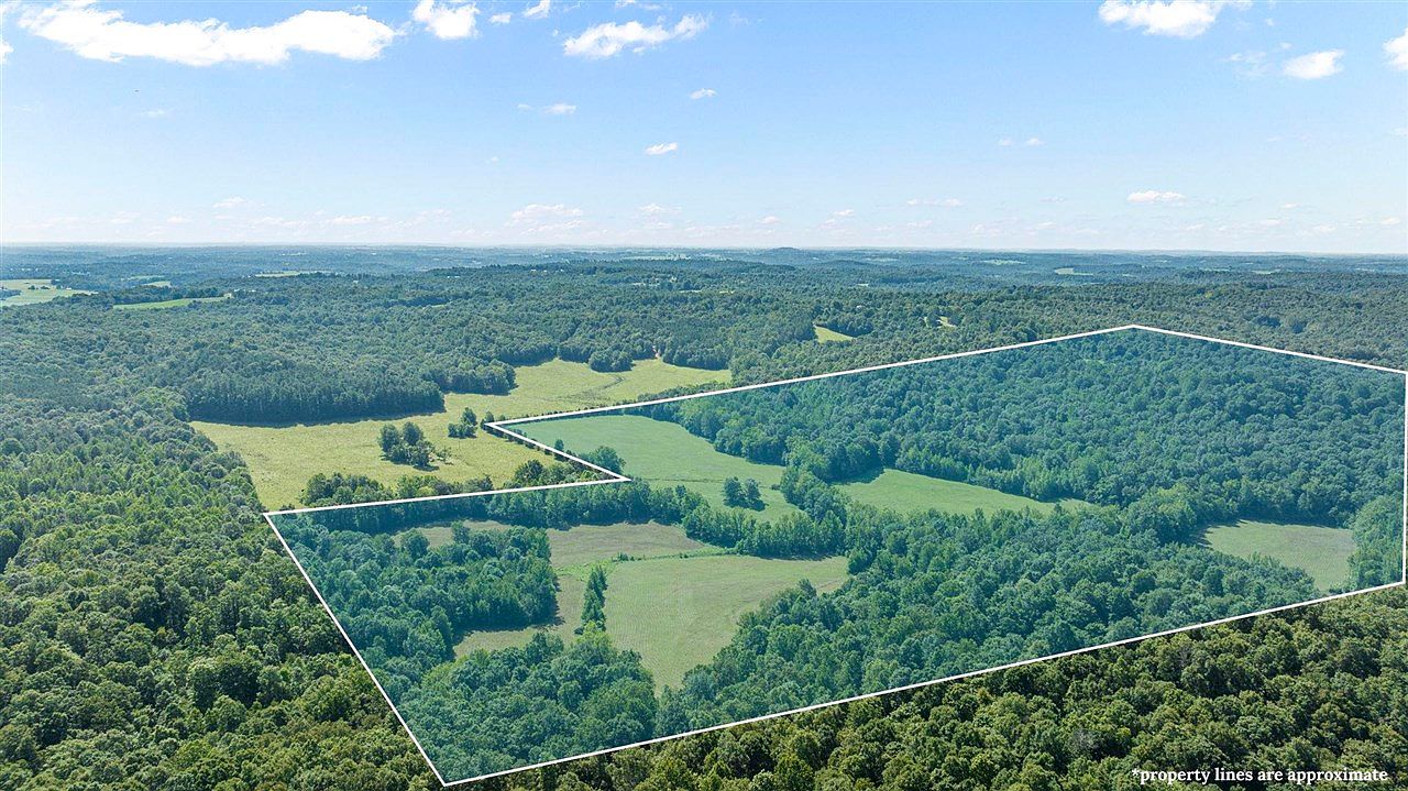 0 E G Nash Rd, Roundhill, KY 42275 | MLS #RA20233200 | Zillow