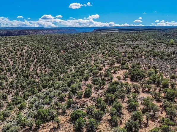 TBD Tract 33 Beaver Hill Heights, Montrose, CO 81403