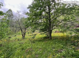 Tbd Old Hartley Rd, Banner Elk, NC 28604