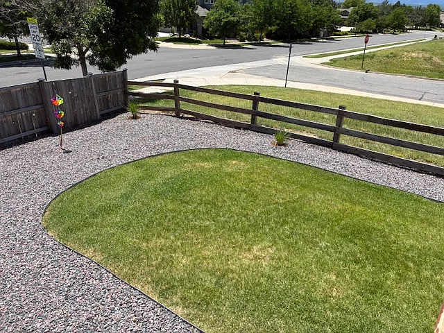 Back Yard 2