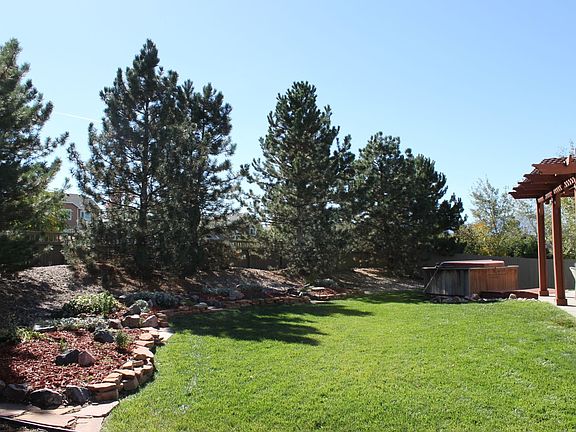 back yard