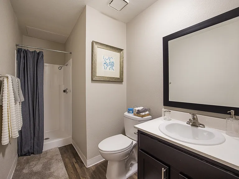 2900 Lux Apartment Homes — Photo 5