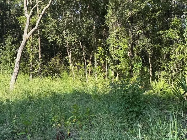 6612 W Grant St, Homosassa, FL 34448