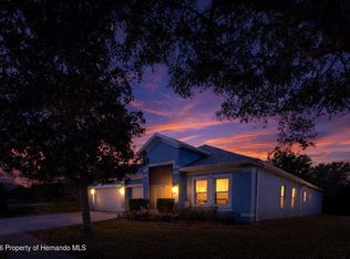 3971 Braemere Dr, Spring Hill, FL 34609