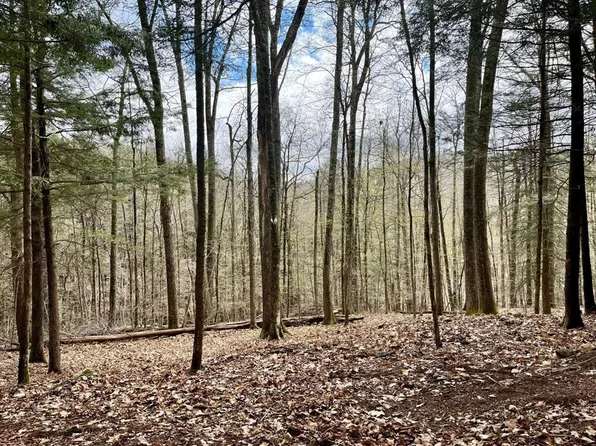 0 Packard Rd, Cummington, MA 01026