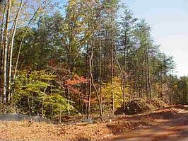 Home for Sale in Travelers Rest, South Carolina $39,900