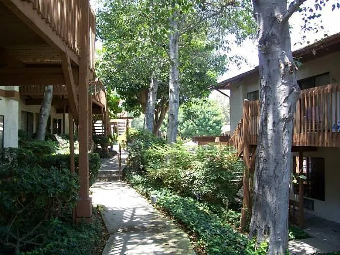 Park-like setting. - 6394 Rancho Mission Rd