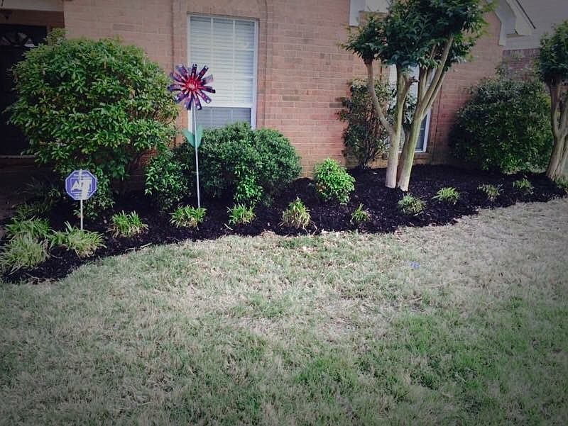 Front yard 