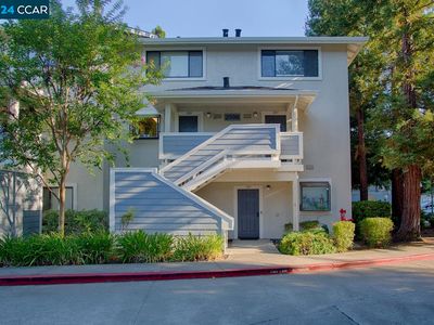 2598 Oak Rd APT 289, Walnut Creek, CA, 94597