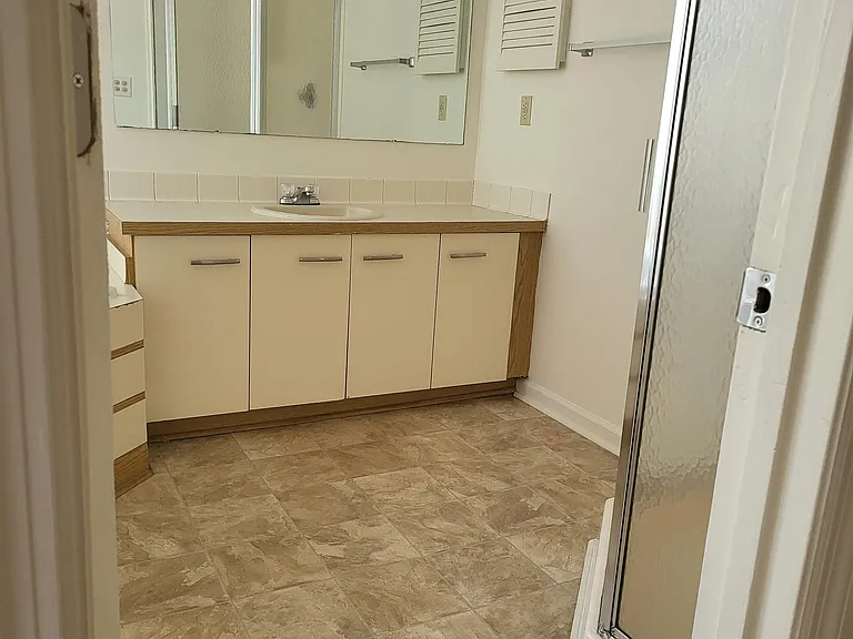 Master Bath (Vanity & Shower)