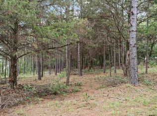 County Road 413 5/acres TRACT 3, Tyler, TX 75704