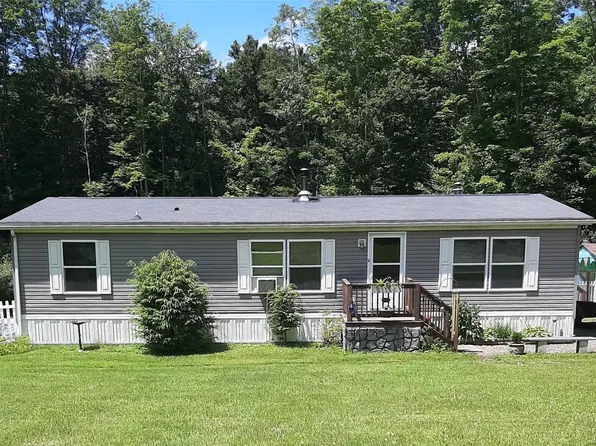 60 Parks Road, Livingston Manor, NY 12758